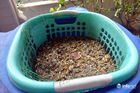 Người dân Thủ đô: Có giếng khoan mới là...