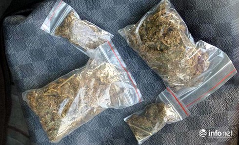 Chủ quán cà phê giấu 4 gói cần sa trong xe SH - ảnh 2