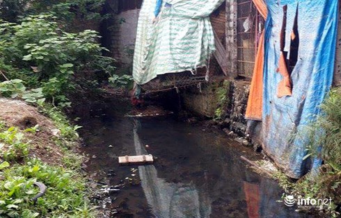 Nam thanh niên không mảnh vải che thân đi... trộm gà - ảnh 3