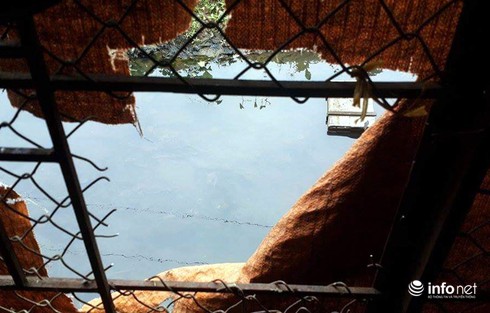 Nam thanh niên không mảnh vải che thân đi... trộm gà - ảnh 1