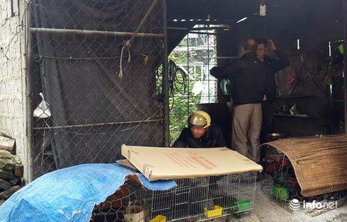 Nam thanh niên không mảnh vải che thân đi... trộm gà - ảnh 2