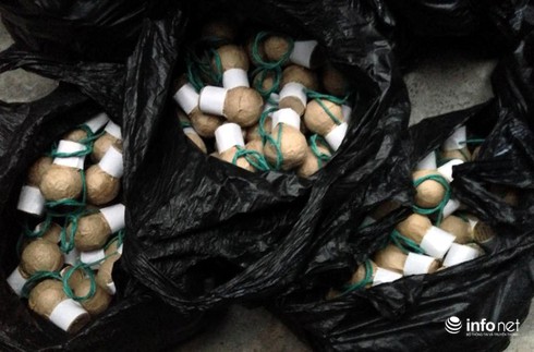 Người phụ nữ vận chuyển gần 800 quả pháo nổ bị bắt ở Thủ đô - ảnh 1