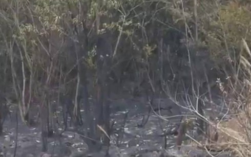 Cả nước có gần 400 đối tượng tàng trữ pháo nổ trong dịp Tết - ảnh 2