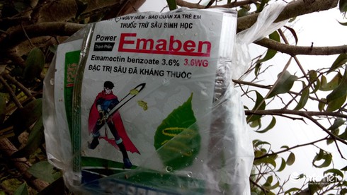 Vùng rau an toàn lớn nhất Hà Nội: