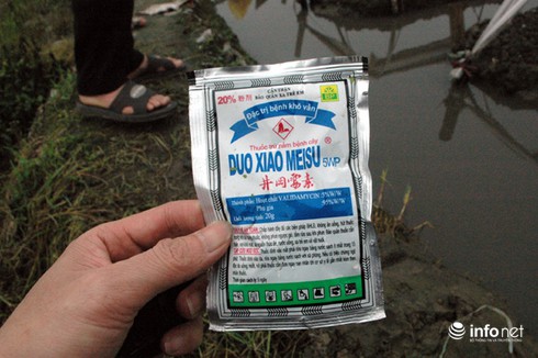 Vùng rau an toàn lớn nhất Hà Nội: