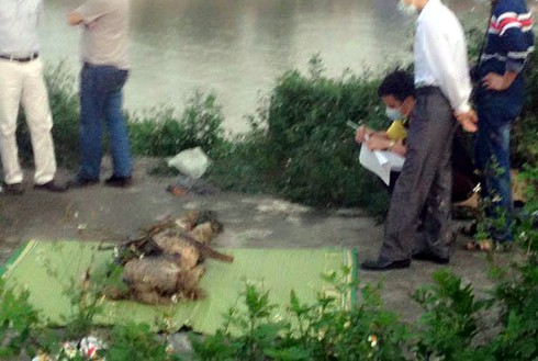 Nam Định: Phát hiện thi thể đàn ông bị “trói” hai chân bên bờ đê - ảnh 1