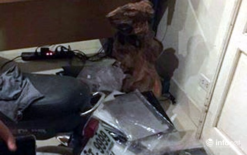 Hai nghi can từ Sài Gòn ra Hà Nội cướp tài sản bị bắt - ảnh 2