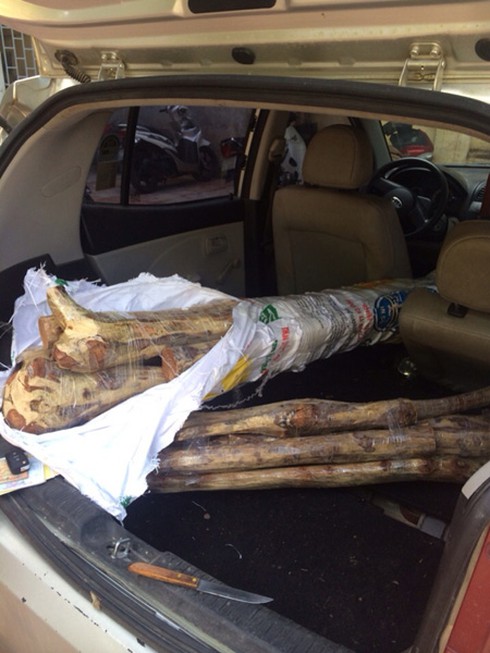 Ngụy trang 15 súc gỗ sưa trong xe Kia morning Van vẫn không qua được CSGT - ảnh 2