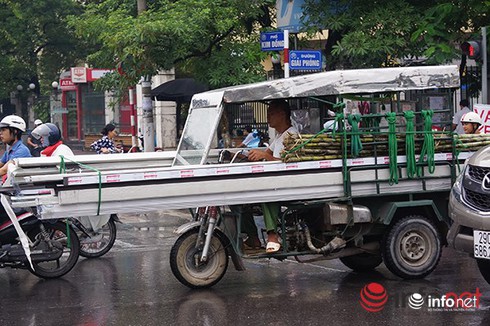 Lái xe xích lô chở tôn khiến bé trai tử vong bị xử thế nào? - ảnh 2