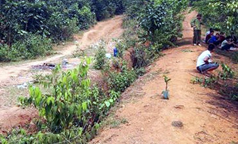 Công an xác định nghi can vụ cô giáo chết bất thường trong rừng - ảnh 1