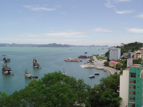 Lên rừng, xuống biển, giữa Thủ đô: Đâu đâu cũng “chặt, chém” - ảnh 1