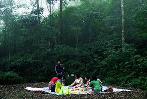 Lên rừng, xuống biển, giữa Thủ đô: Đâu đâu cũng “chặt, chém” - ảnh 2