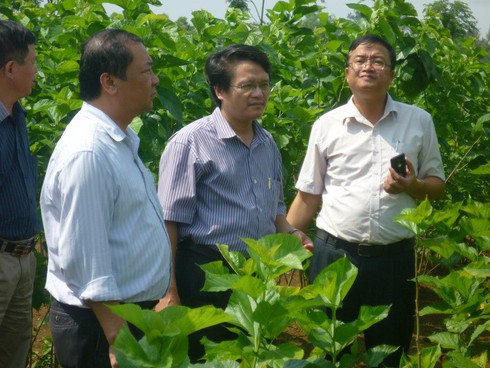 Chân dung Phó GĐ Sở Nguyễn Tài Dũng trong mắt bạn bè - ảnh 3
