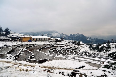 Mua ảnh tuyết Sa Pa ủng hộ trẻ em vùng cao - ảnh 5