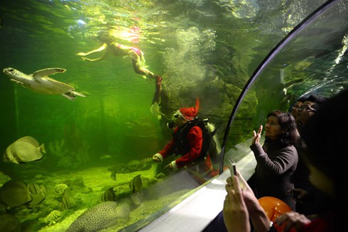 Tết Dương lịch 2014 người Hà Nội đi chơi ở đâu? - ảnh 2