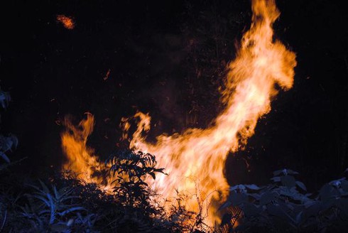 Hà Tĩnh: Hàng trăm cán bộ kiểm lâm chữa cháy rừng dữ dội lúc giữa đêm - ảnh 3