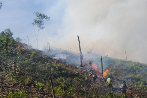 Hà Tĩnh: Hàng trăm cán bộ kiểm lâm chữa cháy rừng dữ dội lúc giữa đêm - ảnh 6
