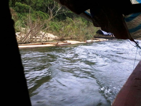 Hà Tĩnh: Gỗ lậu theo công nông ào ạt đổ về xuôi - ảnh 2