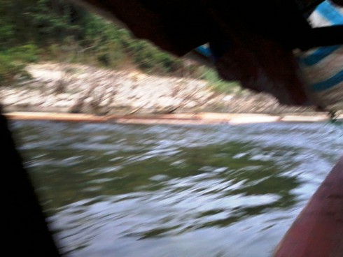 Hà Tĩnh: Gỗ lậu theo công nông ào ạt đổ về xuôi - ảnh 3