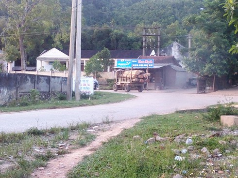 Hà Tĩnh: Gỗ lậu theo công nông ào ạt đổ về xuôi - ảnh 4