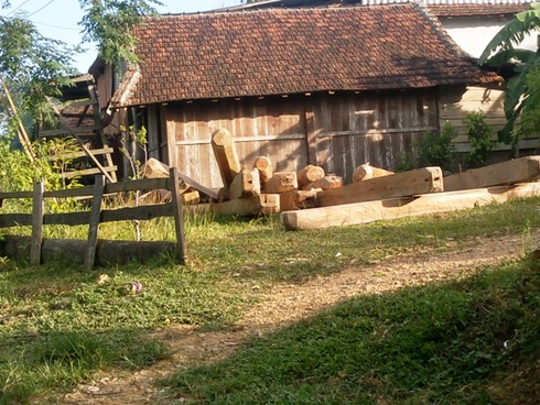 Hà Tĩnh: Gỗ lậu theo công nông ào ạt đổ về xuôi - ảnh 9