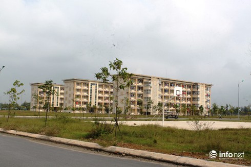 Hàng ngàn sinh viên bị kiến ba khoang tấn công đến khốn khổ - ảnh 2