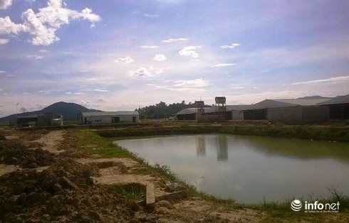 Đã xử lý tốt vấn đề môi trường tại trại lợn 2.400 con - ảnh 1