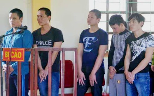 Chặt phá trái phép 3 cây Sa mu quý hiếm, 4 bị cáo lĩnh án 19 năm tù giam - ảnh 1