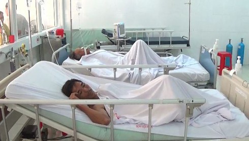 Nghệ An: Ăn cá nóc 8 người nhập viện - ảnh 1