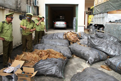 Bắt hơn 1,3 tấn bao bì lợn hôi thối vận chuyển vào TP.HCM làm... giò, gỏi - ảnh 2