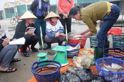 Tàu thuyền ngoại tỉnh ồ ạt vào cảng neo đậu do biển động - ảnh 3