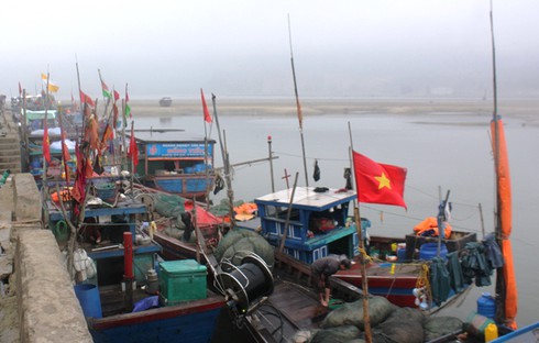 Tàu thuyền ngoại tỉnh ồ ạt vào cảng neo đậu do biển động - ảnh 2