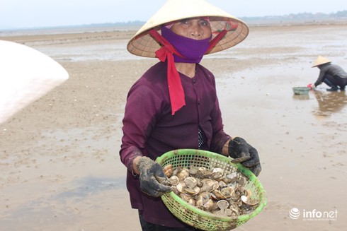 Hà Tĩnh hỗ trợ 750 triệu đồng cho ngư dân thiệt hại do cá chết - ảnh 1