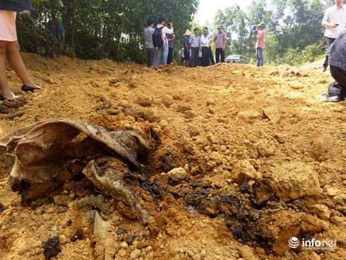 GĐ Sở TN&MT Hà Tĩnh: Formosa có sai phạm trong ký hợp đồng xử lý rác thải - ảnh 2