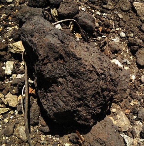 Hà Tĩnh: Lại phát hiện bãi rác khổng lồ trong trang trại - ảnh 8