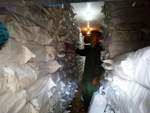 Hà Tĩnh: Cá biển tươi xuất bán nơi khác, bạc tỷ chôn trong kho đông lạnh - ảnh 3