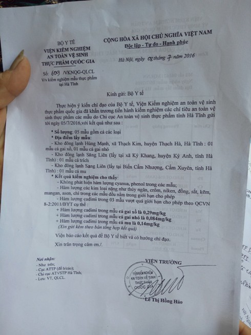 Hà Tĩnh: Cá biển tươi xuất bán nơi khác, bạc tỷ chôn trong kho đông lạnh - ảnh 4