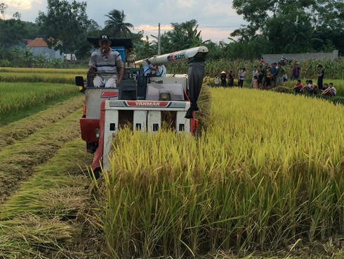 Nộp 2 triệu tiền bảo lãnh máy gặt lúa: Xã trả lại tiền - ảnh 1