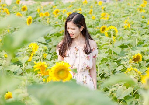 Hà Tĩnh: Đồng Nôi - cát trắng đầy hoa - ảnh 1
