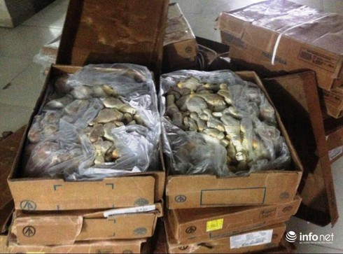 Hà Tĩnh: Bắt giữ gần 700kg cánh, đùi gà, mực đã quá hạn sử dụng - ảnh 1