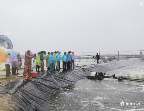 Bộ trưởng NN&PTNT: Nuôi tôm trên cát không xâm lấn đất rừng ven biển - ảnh 2