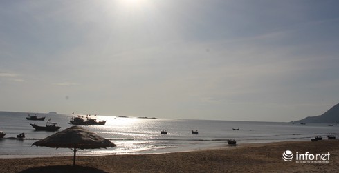 Hà Tĩnh: Thả 30 vạn con tôm xuống biển - ảnh 6