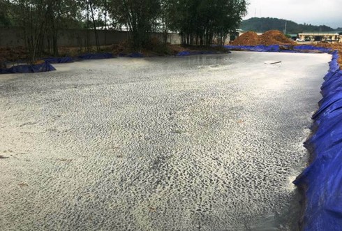 Cá chết bất thường ở Thanh Hóa: Phát hiện ống ngầm xả ra dòng sông Âm! - ảnh 2