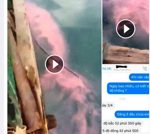 Dải nước đỏ tại biển Cửa Lò là thông tin bịa đặt - ảnh 1