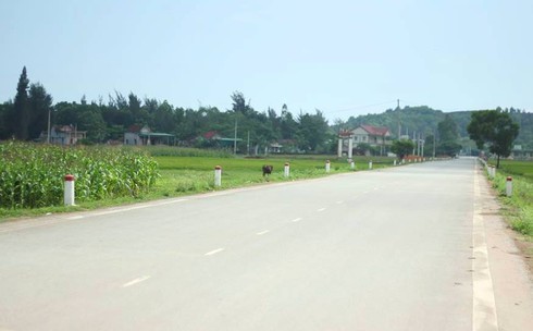 Nghệ An: Xôn xao thông tin bé gái bị tiêm thuốc để bắt cóc? - ảnh 2