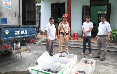 Xe tải chở gần 3 tạ nội tạng, chân giò hôi thối lên miền núi để tiêu thụ - ảnh 1