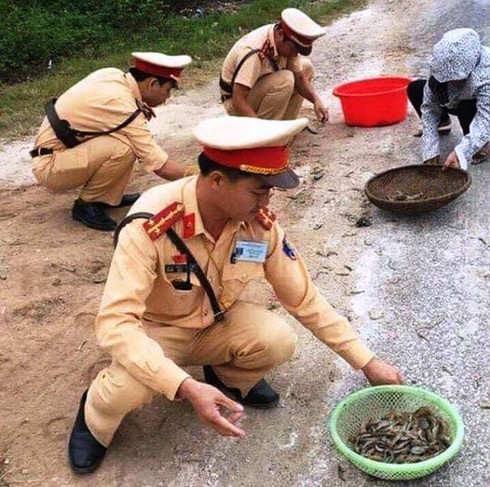 Nghệ An: CSGT giúp dân thu gom tôm, cua đổ giữa đường - ảnh 2