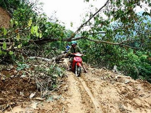 3,74 triệu USD giúp 15 tỉnh ứng phó biến đổi khí hậu - ảnh 1