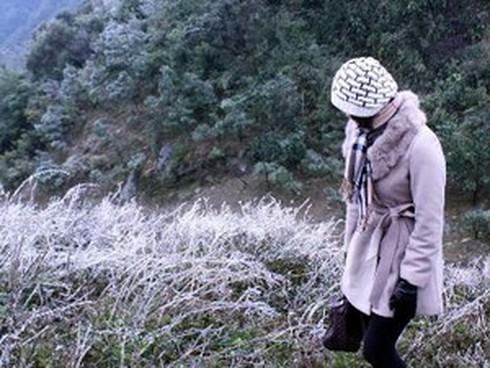 Thời tiết dị thường do biến đổi khí hậu ở Việt Nam - ảnh 1