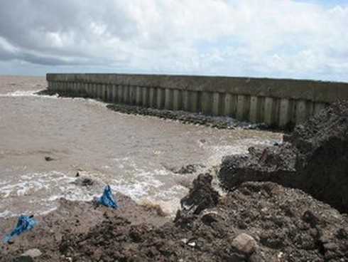 Bạc Liêu: Ứng phó triều cường dâng cao cực đại - ảnh 1